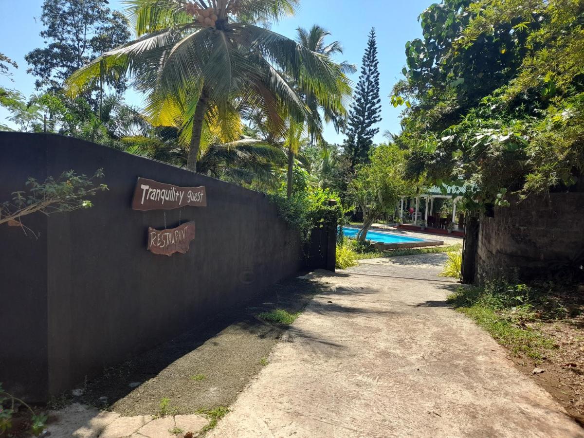 Tranquility Guest House Hikkaduwa Eksteriør billede