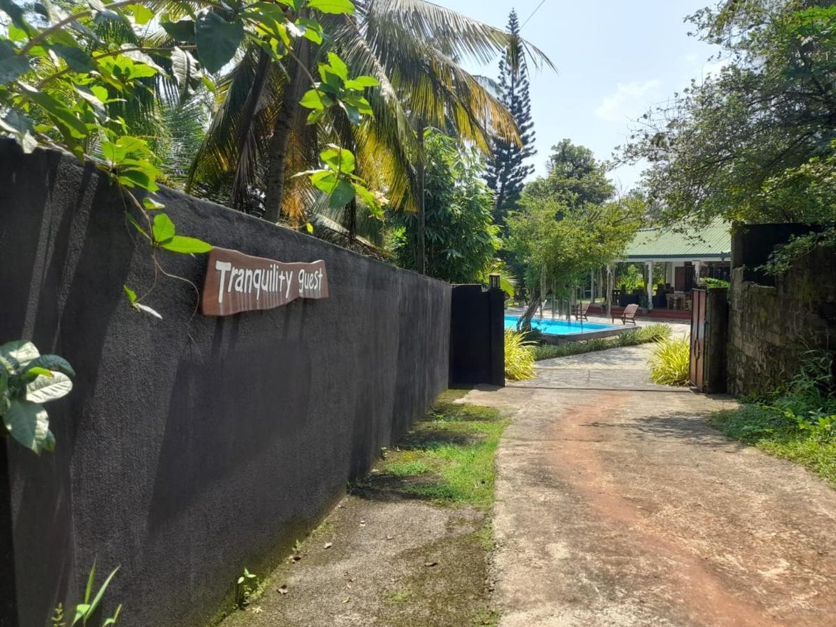 Tranquility Guest House Hikkaduwa Eksteriør billede