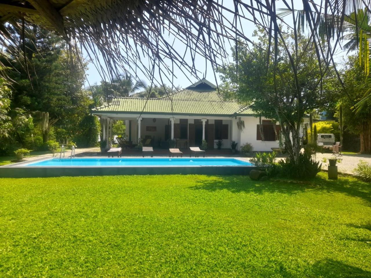 Tranquility Guest House Hikkaduwa Eksteriør billede