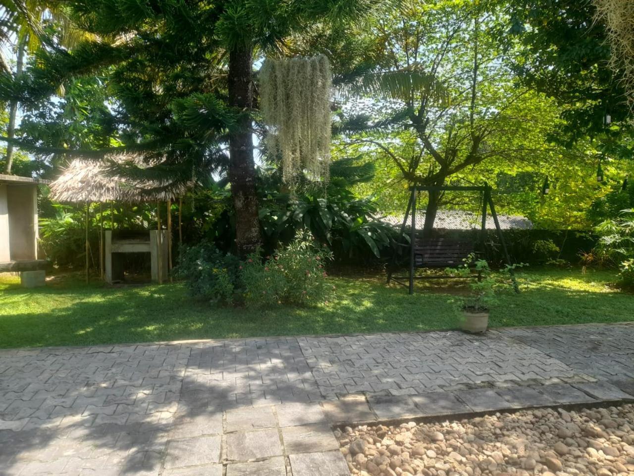 Tranquility Guest House Hikkaduwa Eksteriør billede