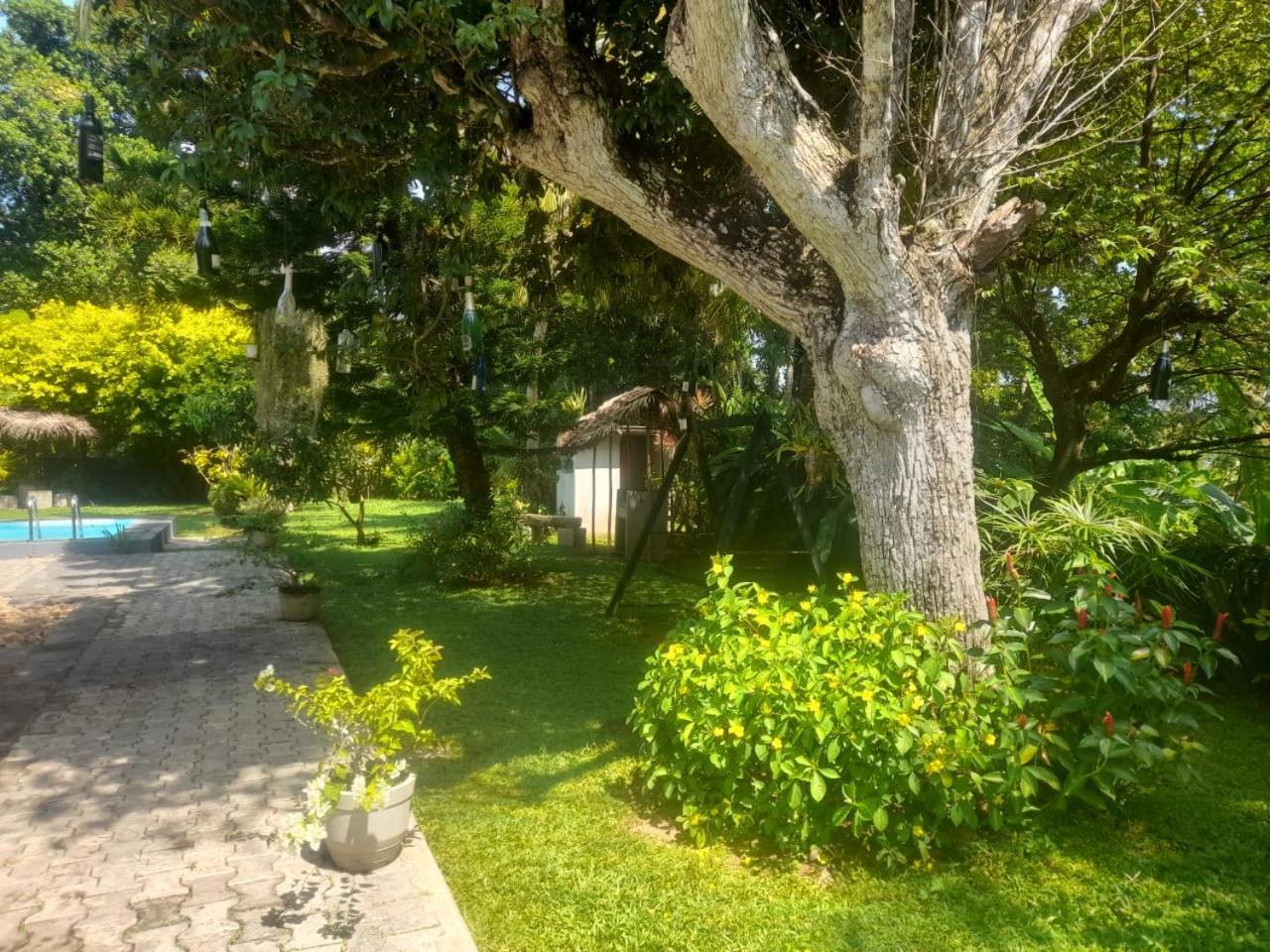 Tranquility Guest House Hikkaduwa Eksteriør billede