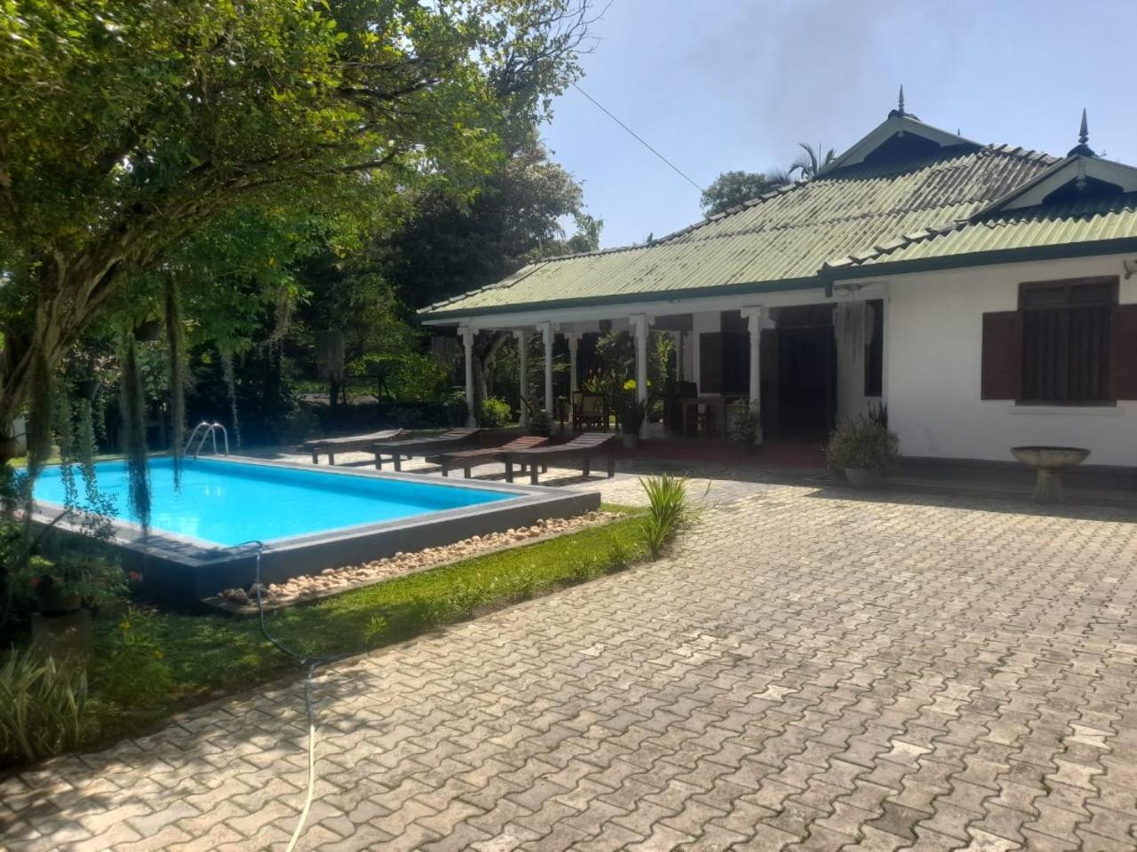 Tranquility Guest House Hikkaduwa Eksteriør billede