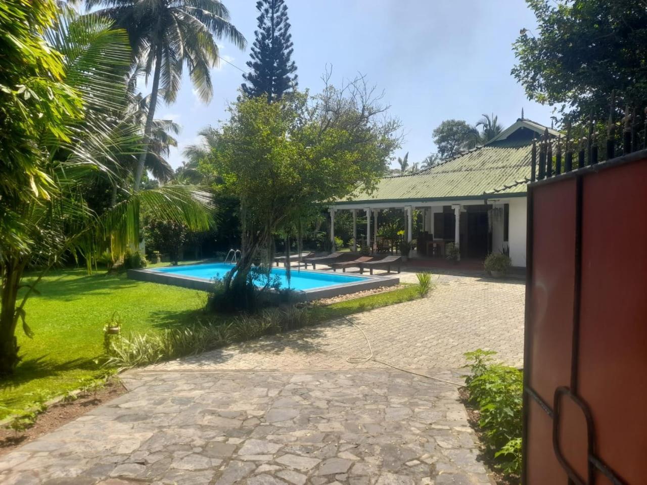 Tranquility Guest House Hikkaduwa Eksteriør billede