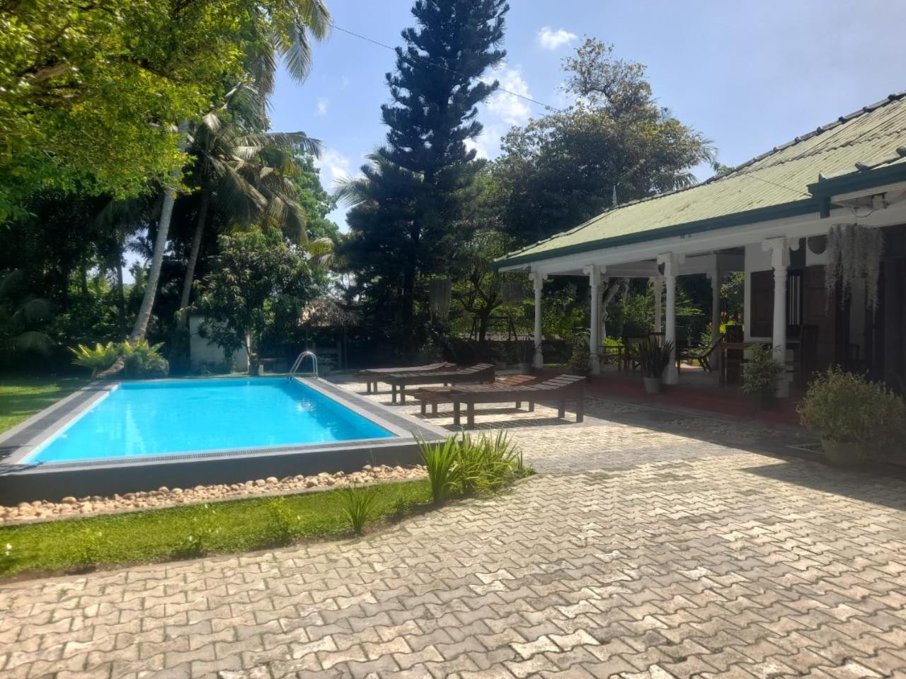 Tranquility Guest House Hikkaduwa Eksteriør billede
