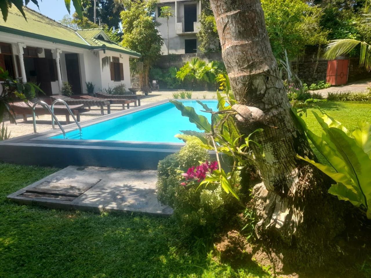 Tranquility Guest House Hikkaduwa Eksteriør billede
