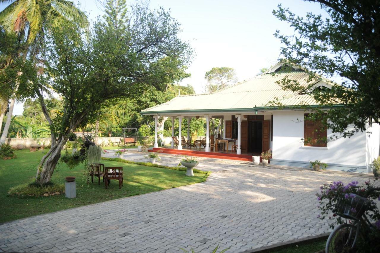 Tranquility Guest House Hikkaduwa Eksteriør billede
